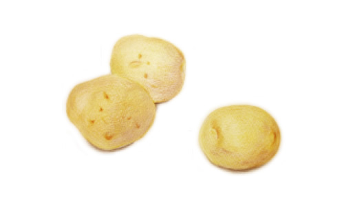 ノースカラーズ 純国産 ポテトチップス うすしお味